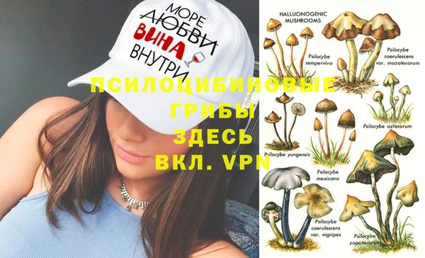 соль курить ск Козельск