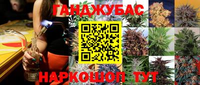 дмт Пенза