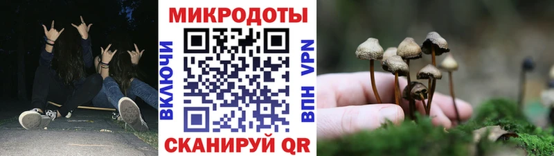 Псилоцибиновые грибы Psilocybe  Серов 