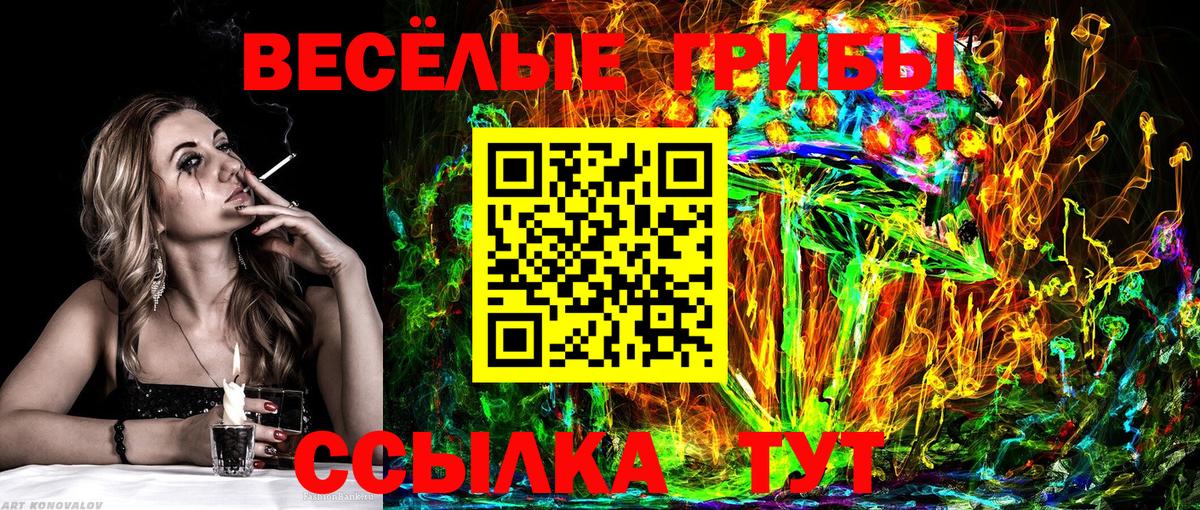 Псилоцибиновые грибы прущие грибы Серов