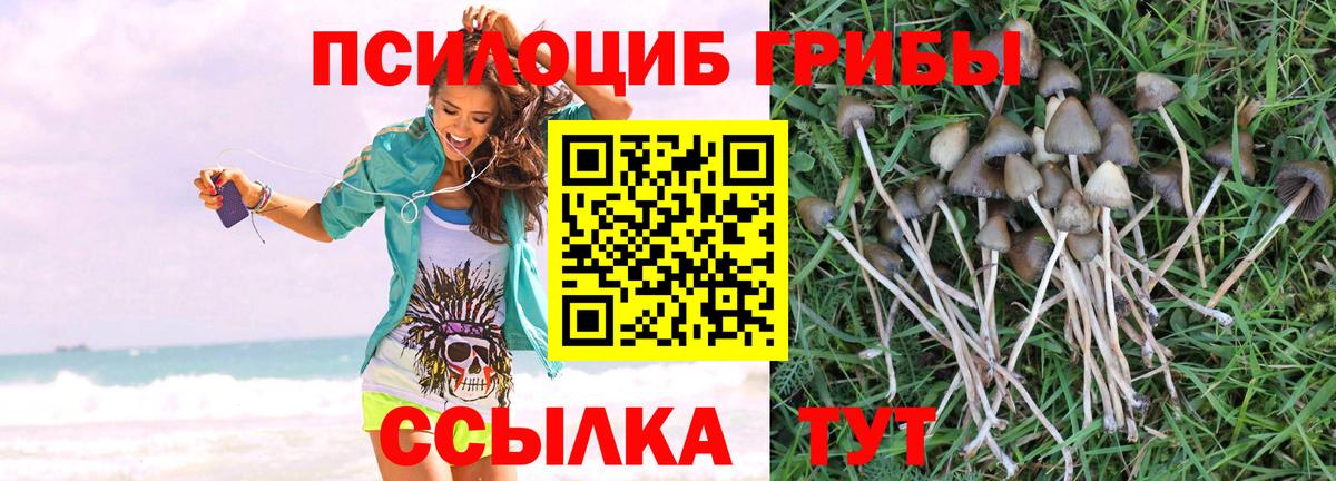 Серов  Псилоцибиновые грибы мицелий  Вход с VPN 