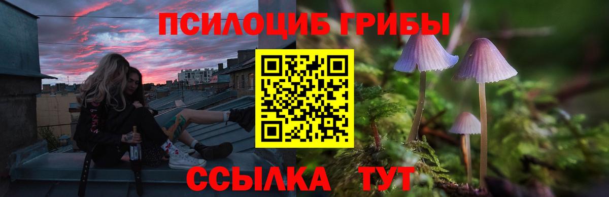 Серов  Галлюциногенные грибы Psilocybe  Вход с VPN 